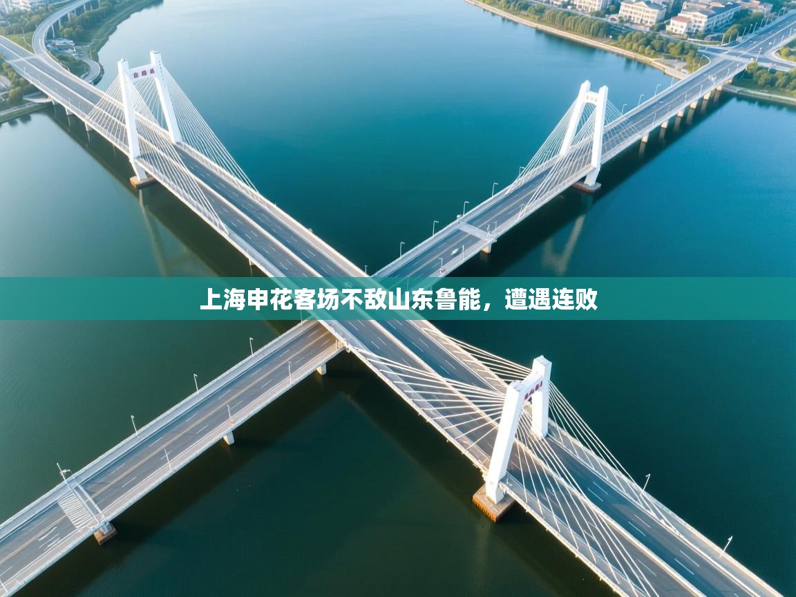 上海申花客场不敌山东鲁能，遭遇连败  第2张