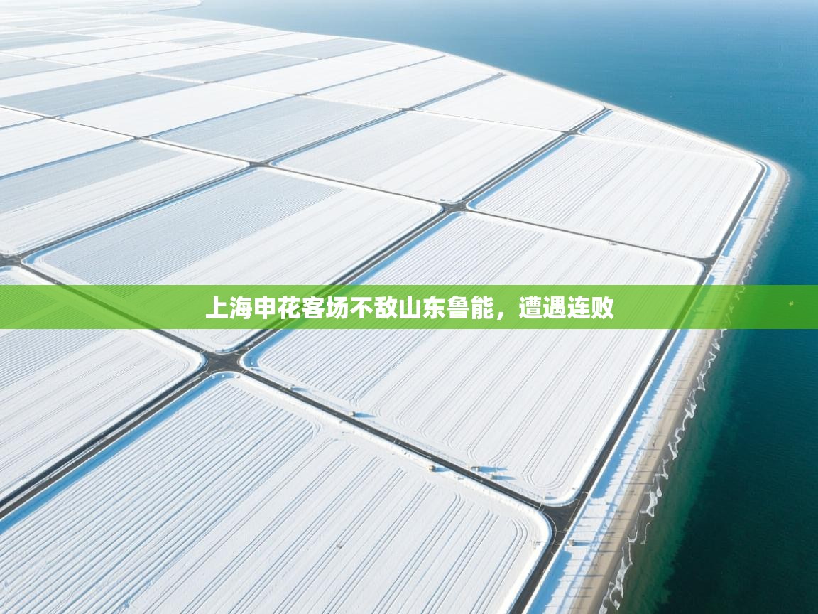 上海申花客场不敌山东鲁能，遭遇连败  第1张