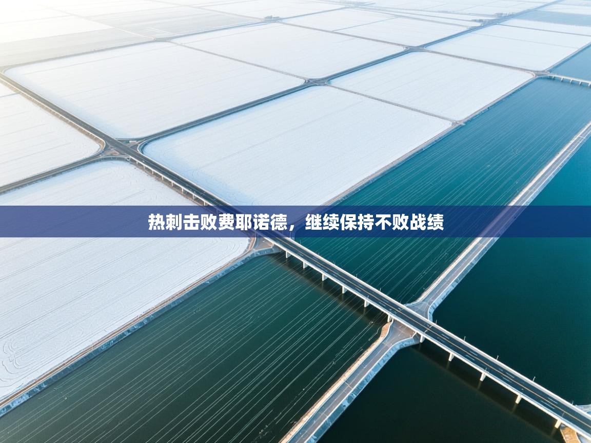 热刺击败费耶诺德，继续保持不败战绩  第2张