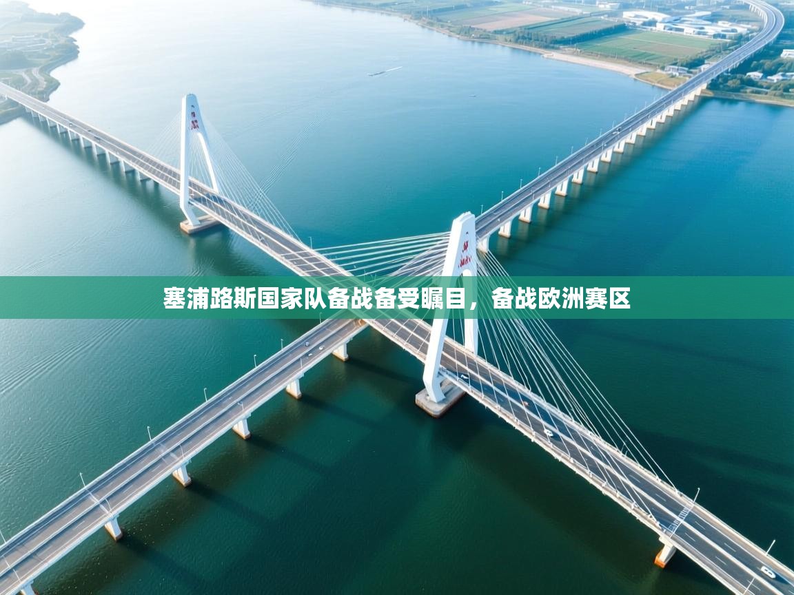 塞浦路斯国家队备战备受瞩目，备战欧洲赛区  第1张