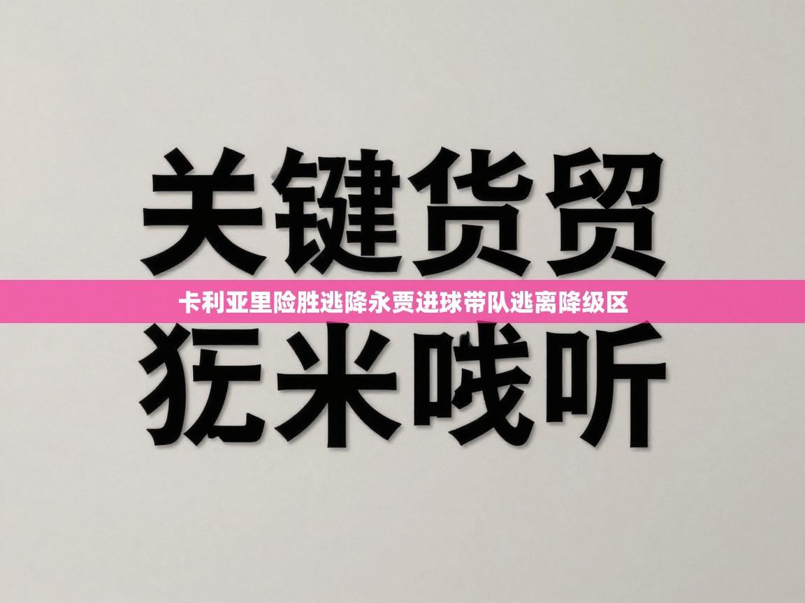 卡利亚里险胜逃降永贾进球带队逃离降级区 第2张